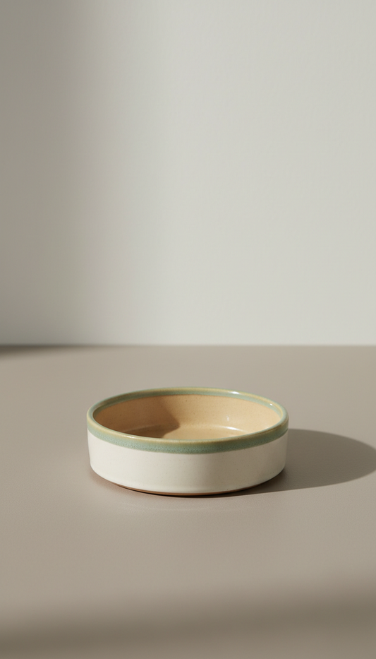 BPA-free pet food bowl with anti-slip base